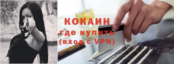 гашик Корсаков