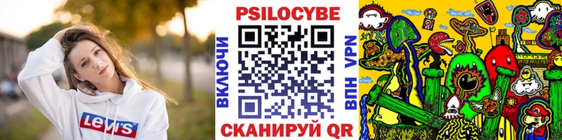 Купить где  Ефремов  Псилоцибиновые грибы Psilocybe 